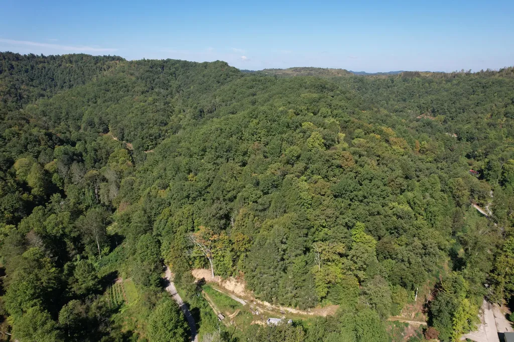 130 Hacker Hollow Road Stinnett KY 40868