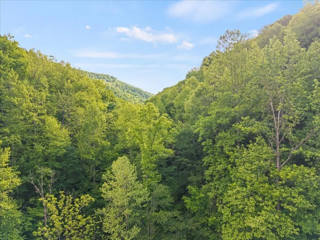 1775 Kingdom Come Creek Road Whitesburg KY 41858