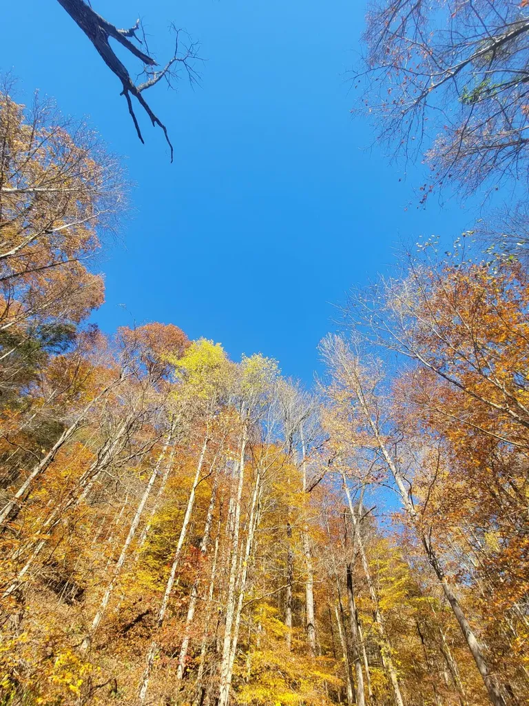 1775 Kingdom Come Creek Road Whitesburg KY 41858