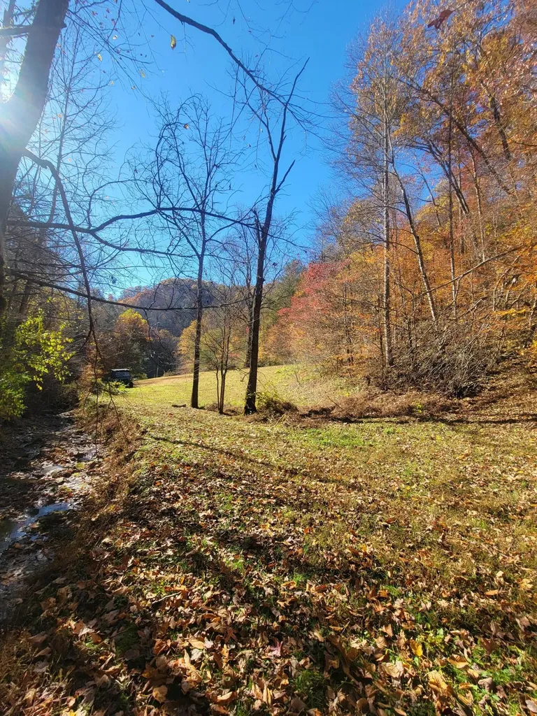 1775 Kingdom Come Creek Road Whitesburg KY 41858