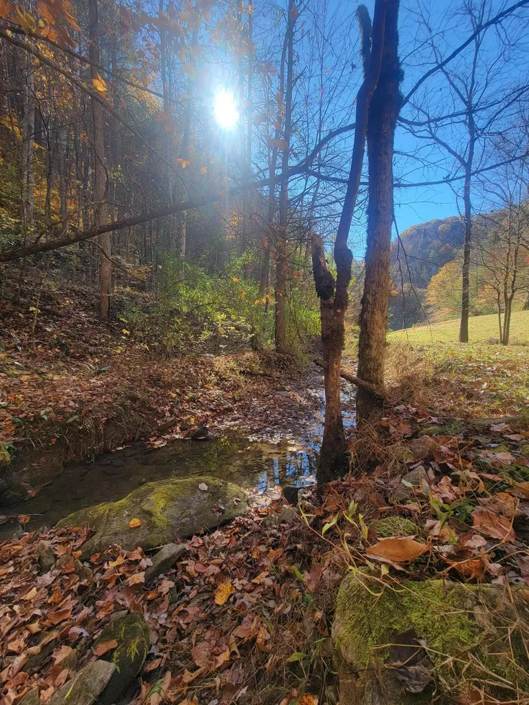 1775 Kingdom Come Creek Road Whitesburg KY 41858