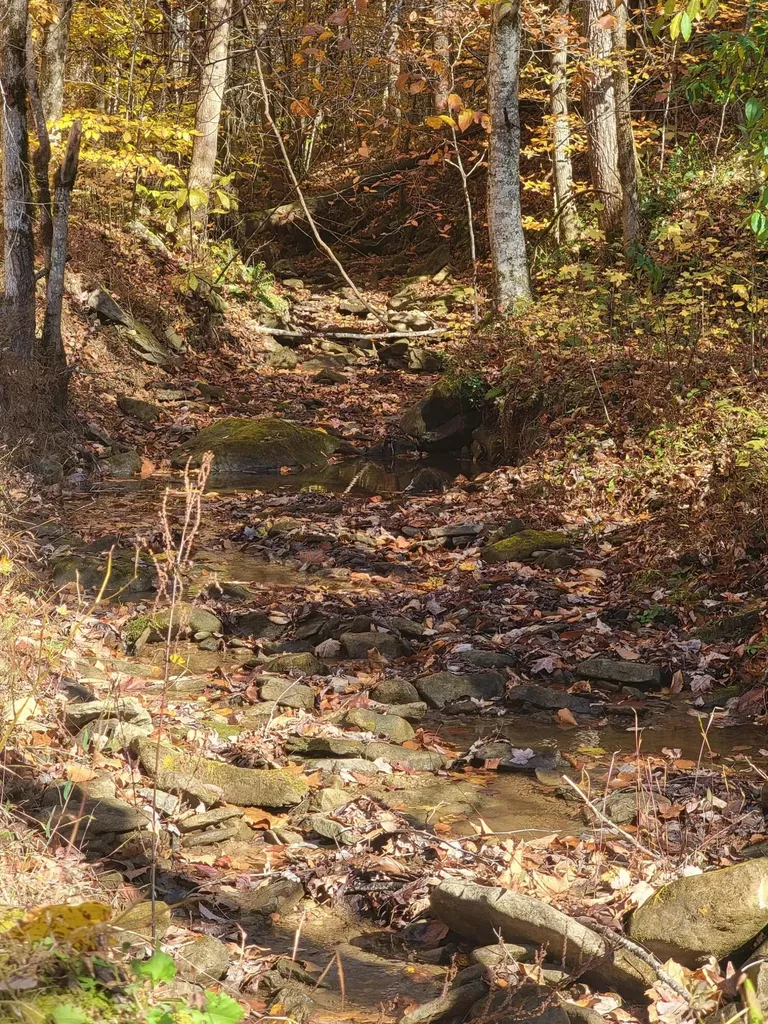 1775 Kingdom Come Creek Road Whitesburg KY 41858