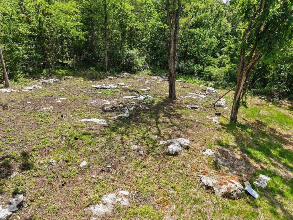 42 Furlong Avenue Burnside KY 42519