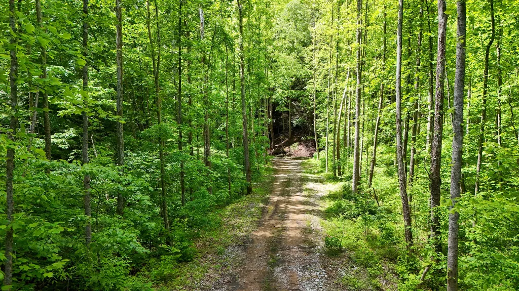 0 Amy Branch Road Roark KY 40979