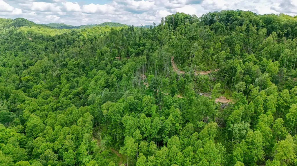 0 Amy Branch Road Roark KY 40979