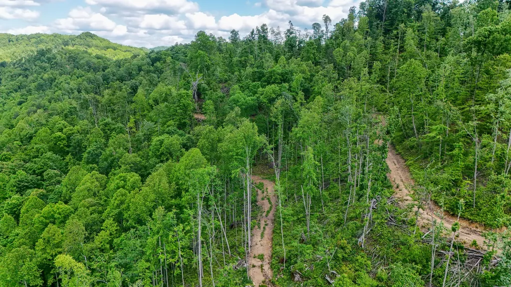 0 Amy Branch Road Roark KY 40979