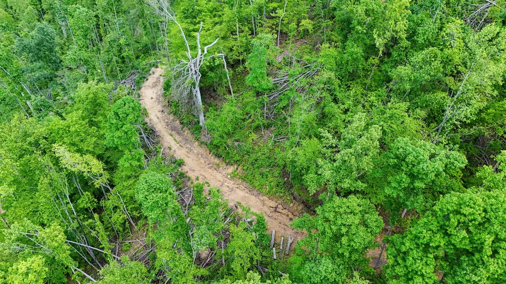 0 Amy Branch Road Roark KY 40979