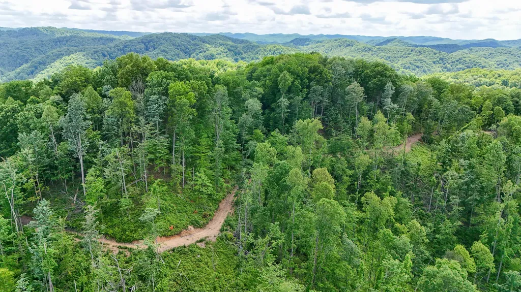 0 Amy Branch Road Roark KY 40979