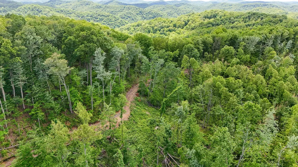 0 Amy Branch Road Roark KY 40979