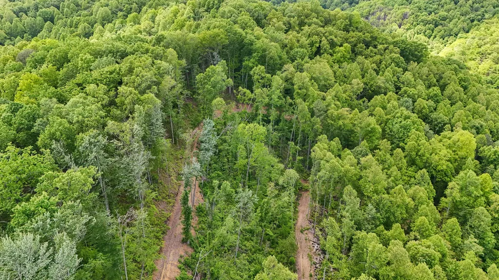 0 Amy Branch Road Roark KY 40979