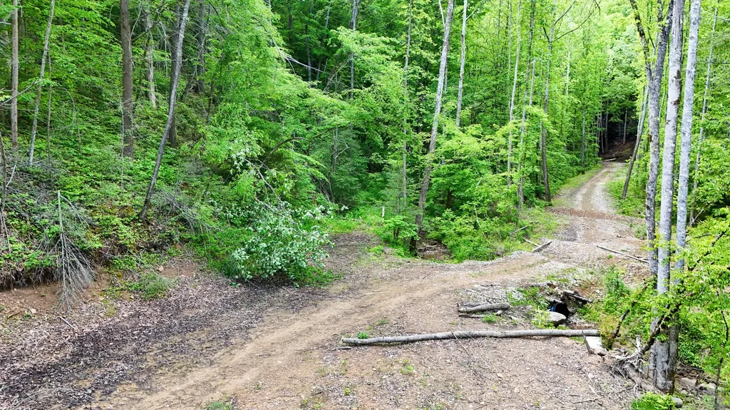 0 Amy Branch Road Roark KY 40979
