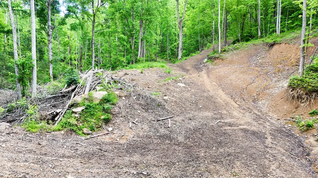 0 Amy Branch Road Roark KY 40979