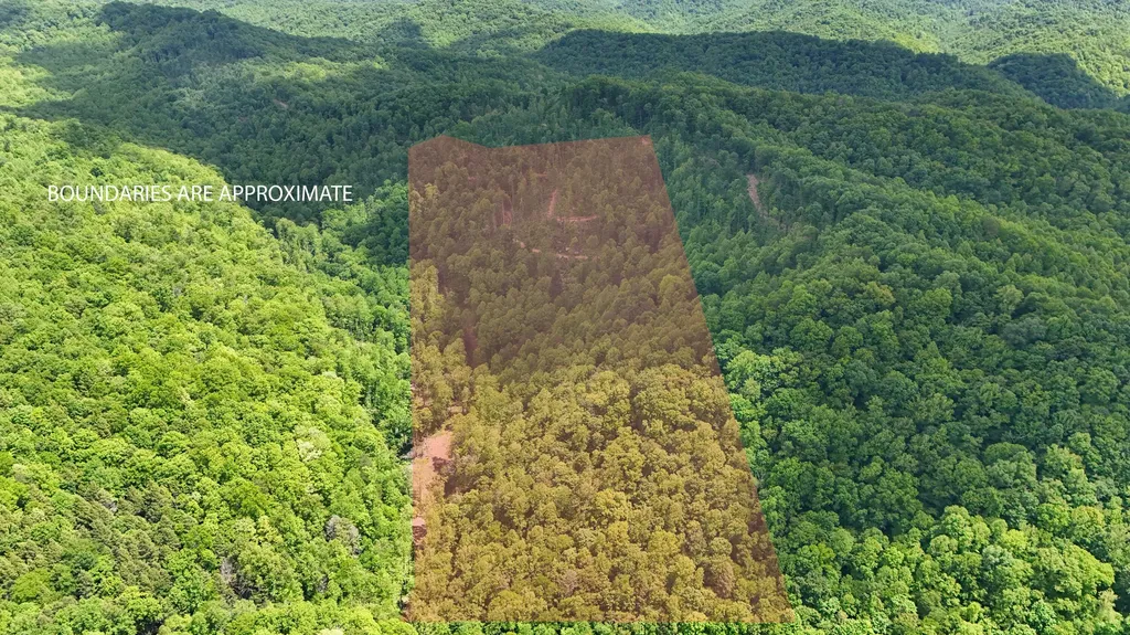 0 Amy Branch Road Roark KY 40979