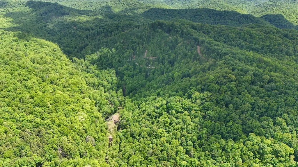 0 Amy Branch Road Roark KY 40979