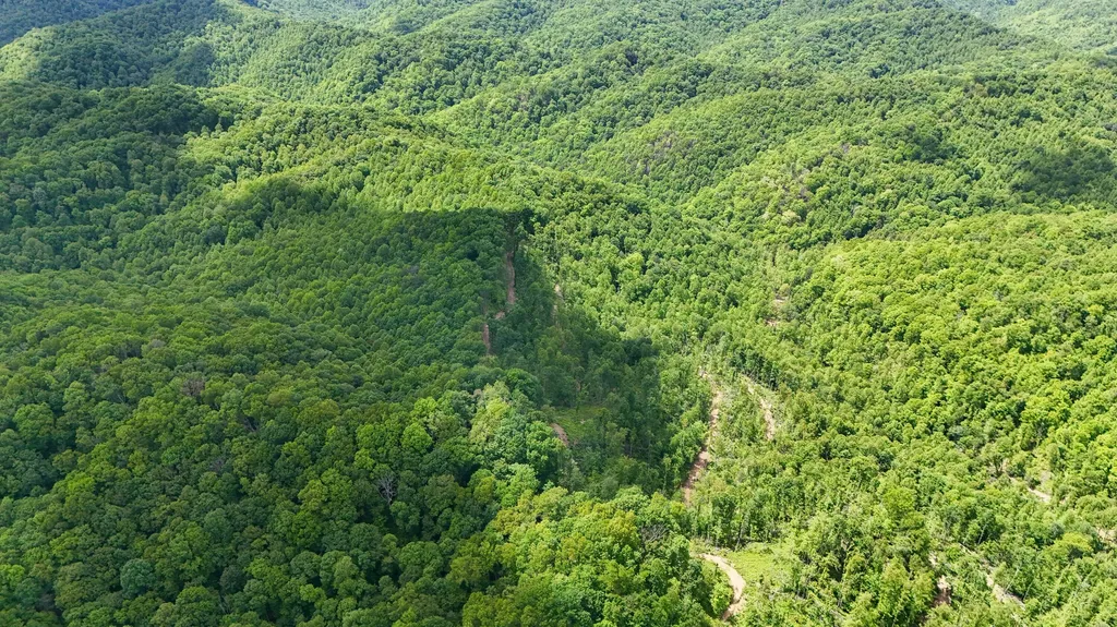 0 Amy Branch Road Roark KY 40979