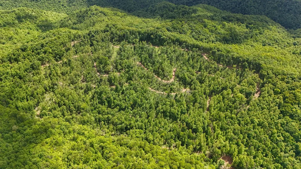 0 Amy Branch Road Roark KY 40979