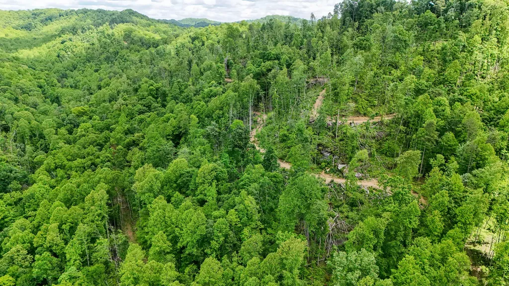 0 Amy Branch Road Roark KY 40979