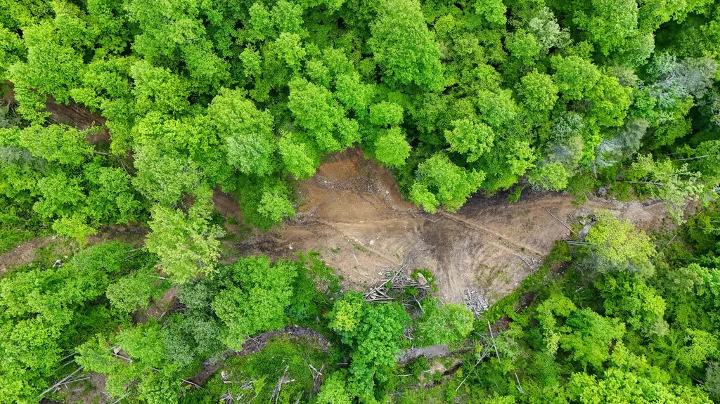 0 Amy Branch Road Roark KY 40979