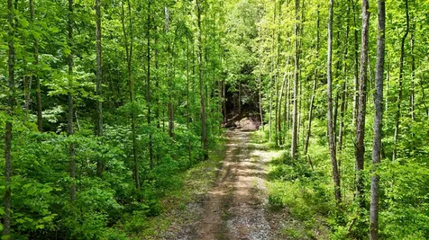 0 Amy Branch Road Roark KY 40979