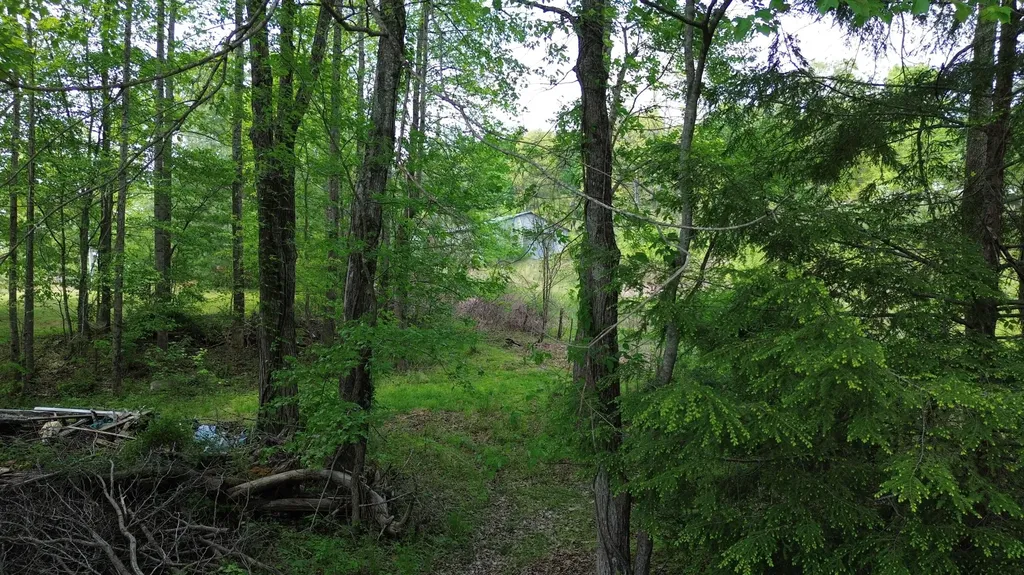 1008 Campbell Road Corbin KY 40701