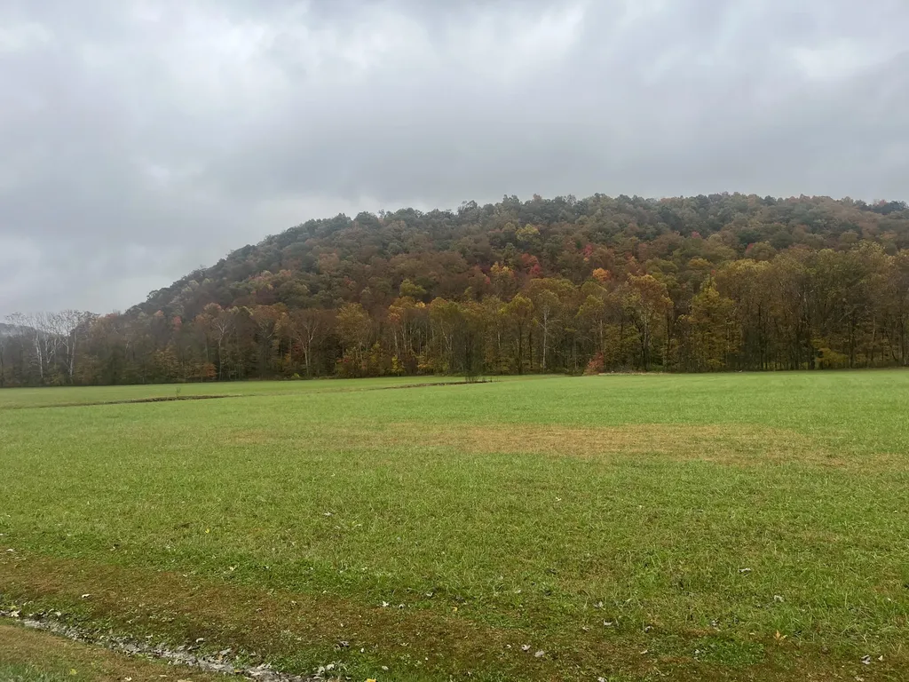 1037 Big Salt Lick Creek Road Salt Lick KY 40371