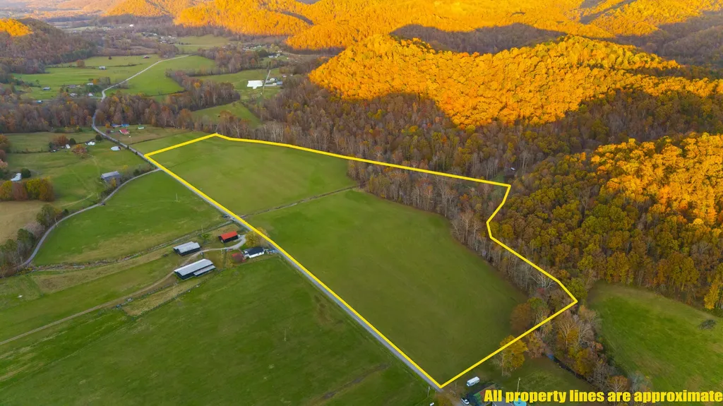 1037 Big Salt Lick Creek Road Salt Lick KY 40371