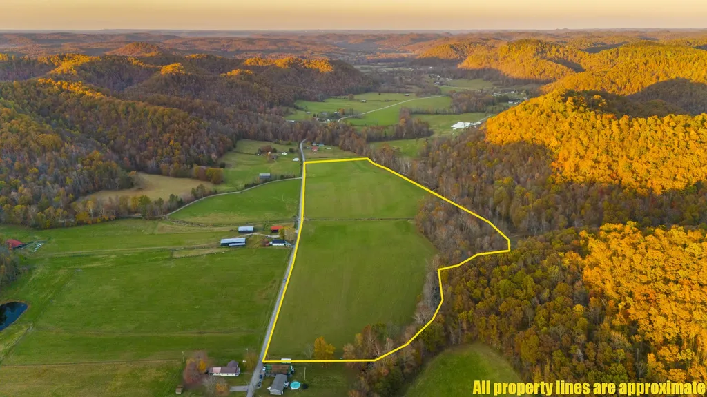 1037 Big Salt Lick Creek Road Salt Lick KY 40371
