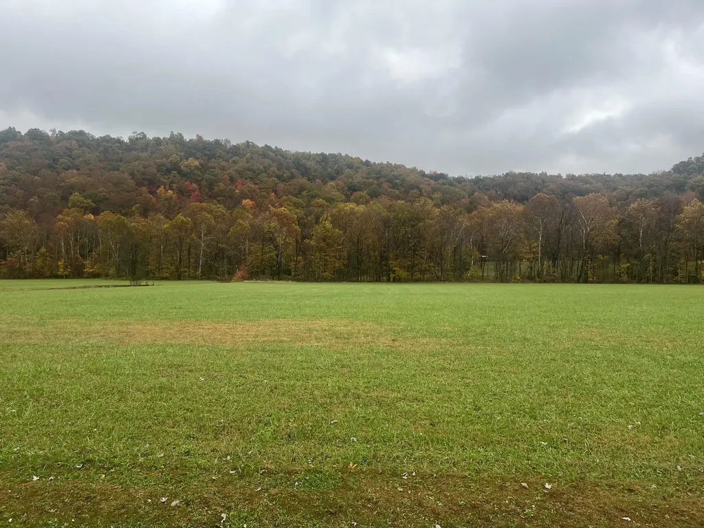 1037 Big Salt Lick Creek Road Salt Lick KY 40371