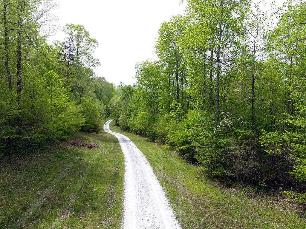 Tract 5 Dogwood Drive Whitley City KY 42653