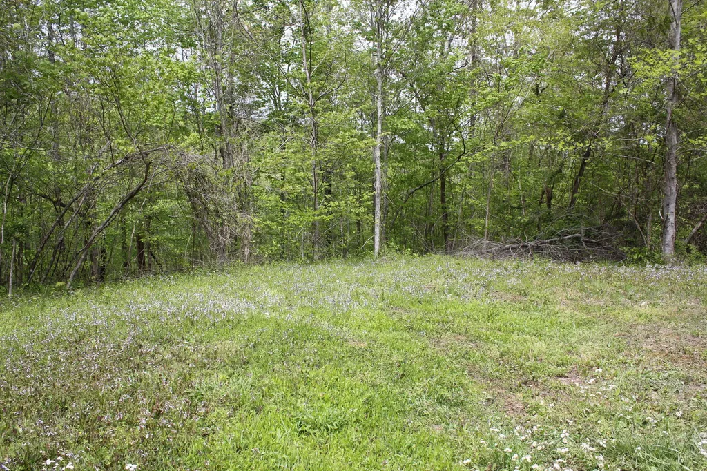 Tract 5 Dogwood Drive Whitley City KY 42653