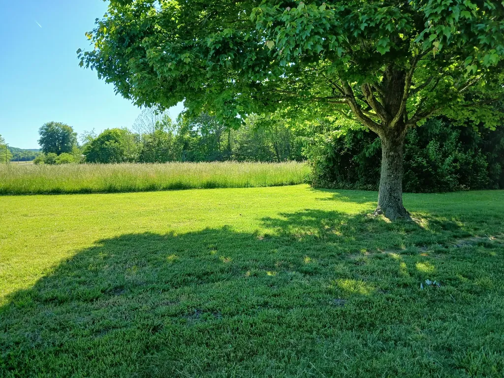 3118 Hamilton Valley Road Crab Orchard KY 40419