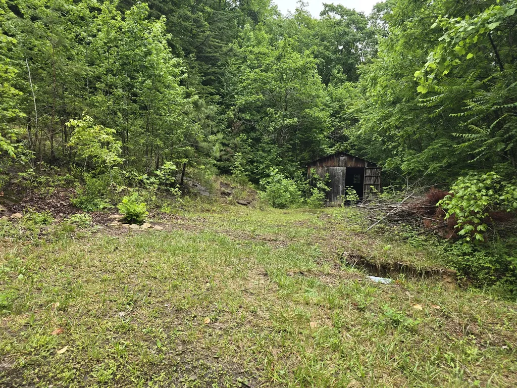 36 Us Highway 119 Calvin KY 40813