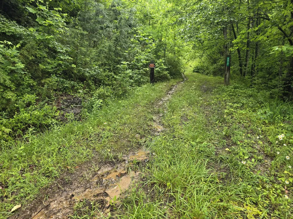36 Us Highway 119 Calvin KY 40813