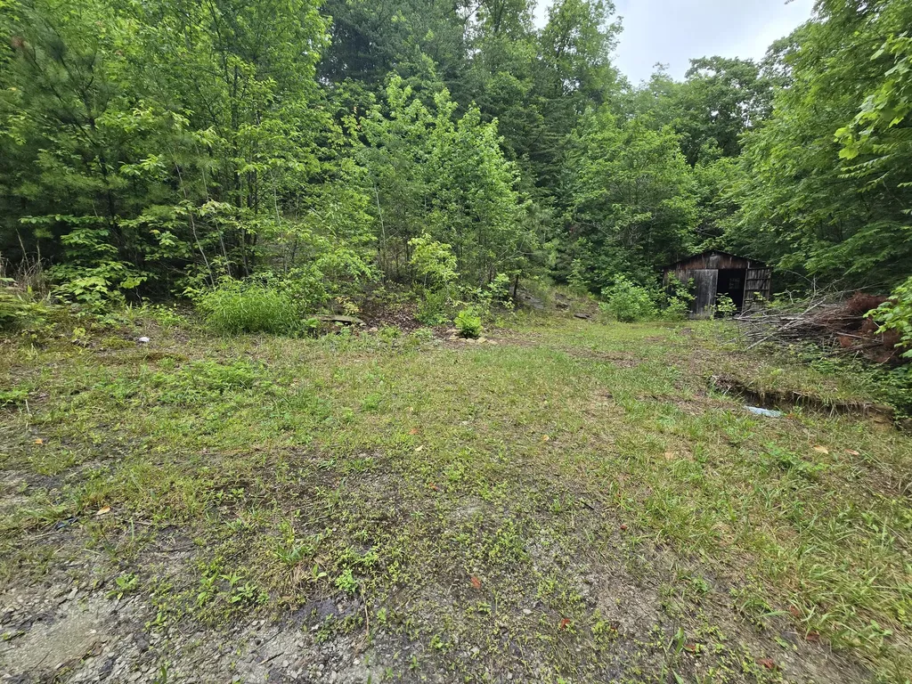 36 Us Highway 119 Calvin KY 40813