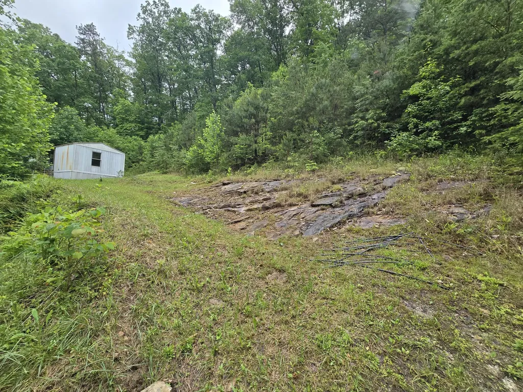 36 Us Highway 119 Calvin KY 40813