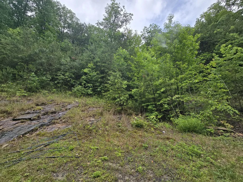 36 Us Highway 119 Calvin KY 40813
