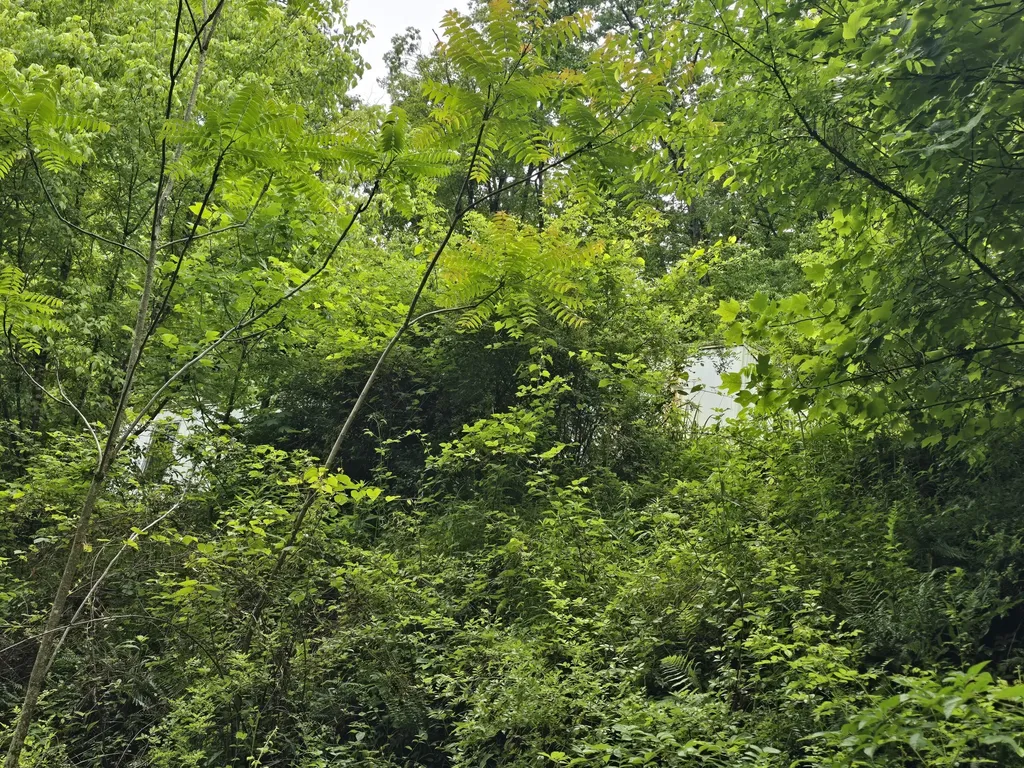 36 Us Highway 119 Calvin KY 40813