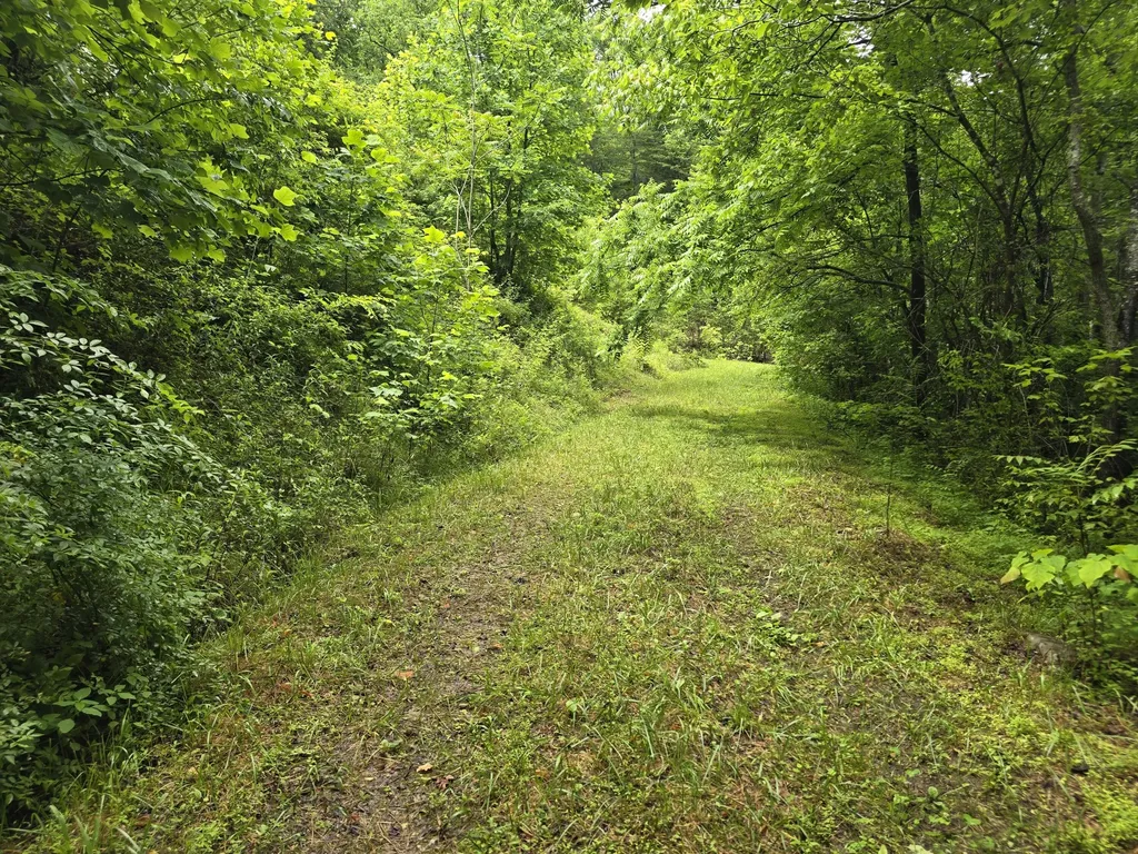 36 Us Highway 119 Calvin KY 40813