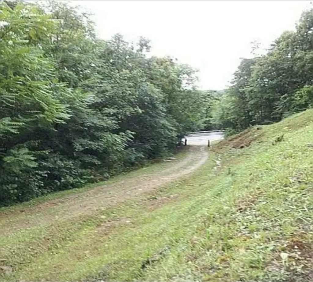 36 Us Highway 119 Calvin KY 40813