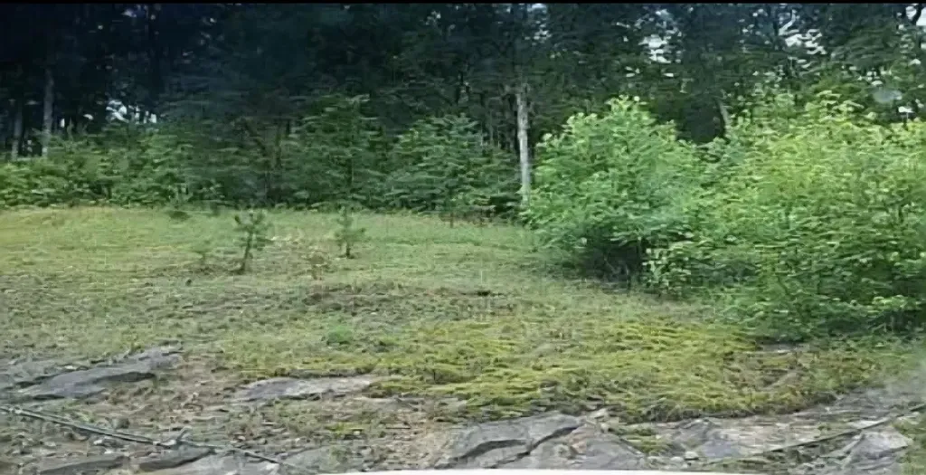 36 Us Highway 119 Calvin KY 40813