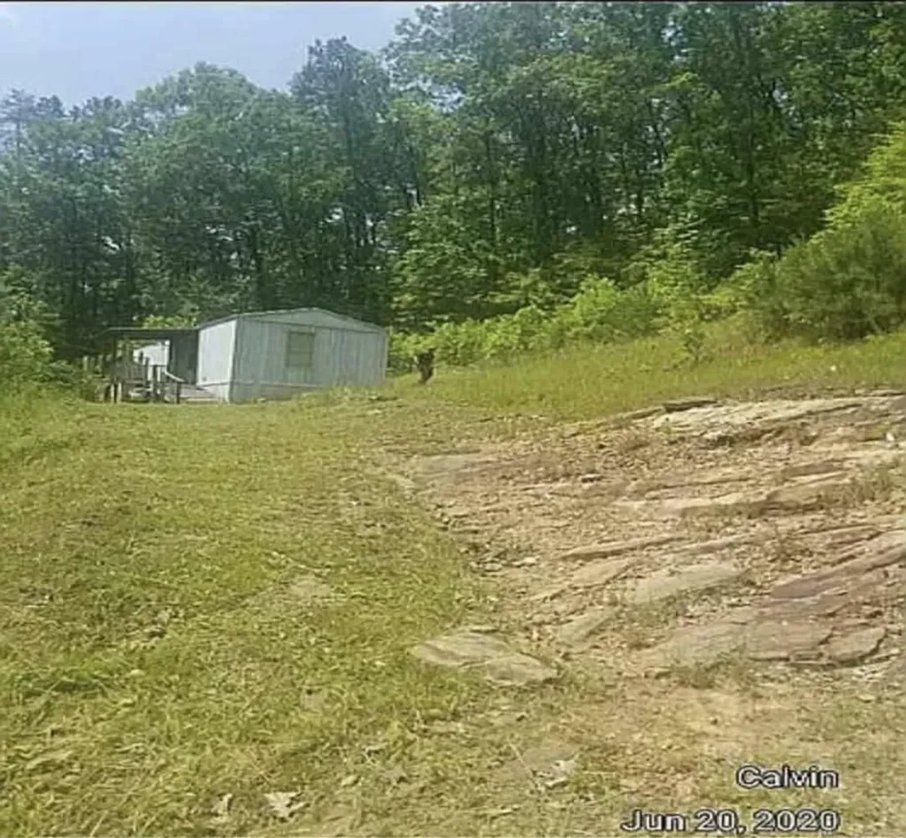 36 Us Highway 119 Calvin KY 40813