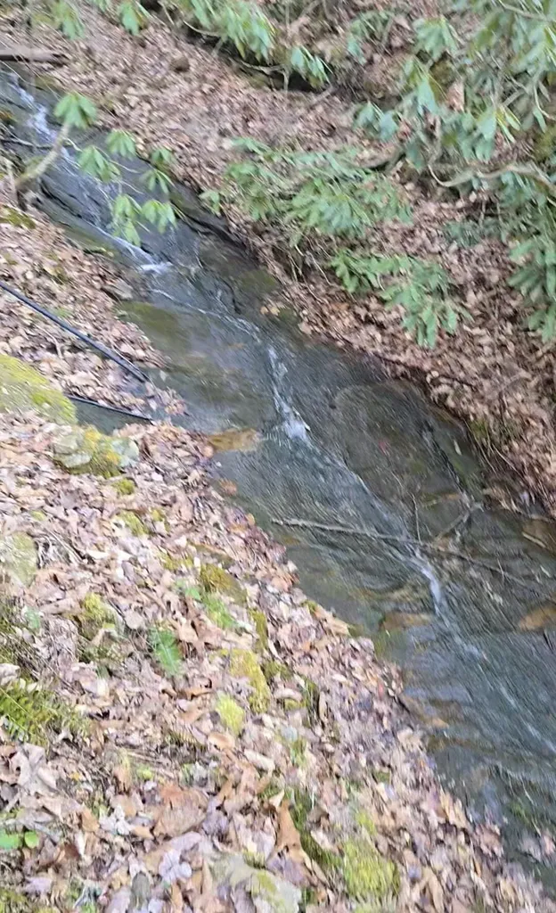 36 Us Highway 119 Calvin KY 40813