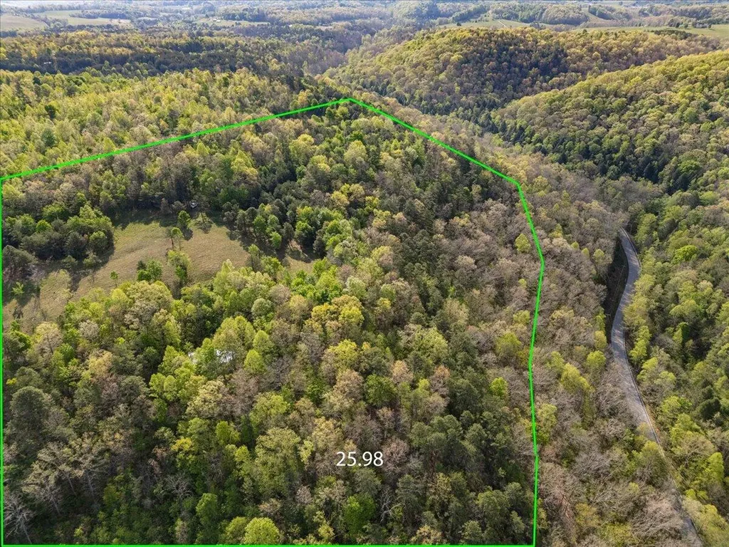 1111 Watt Nantz Road East Bernstadt KY 40729