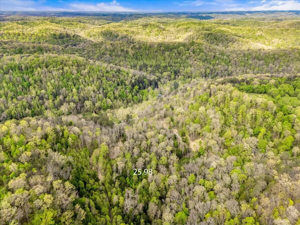 1111 Watt Nantz Road East Bernstadt KY 40729