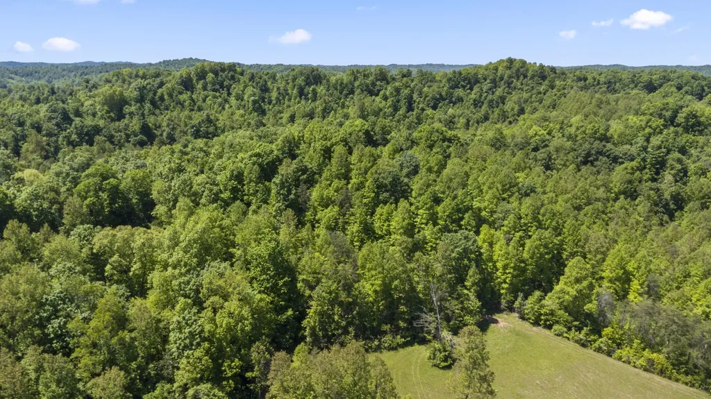 2248 Key 556 Sandy Hook KY 41171