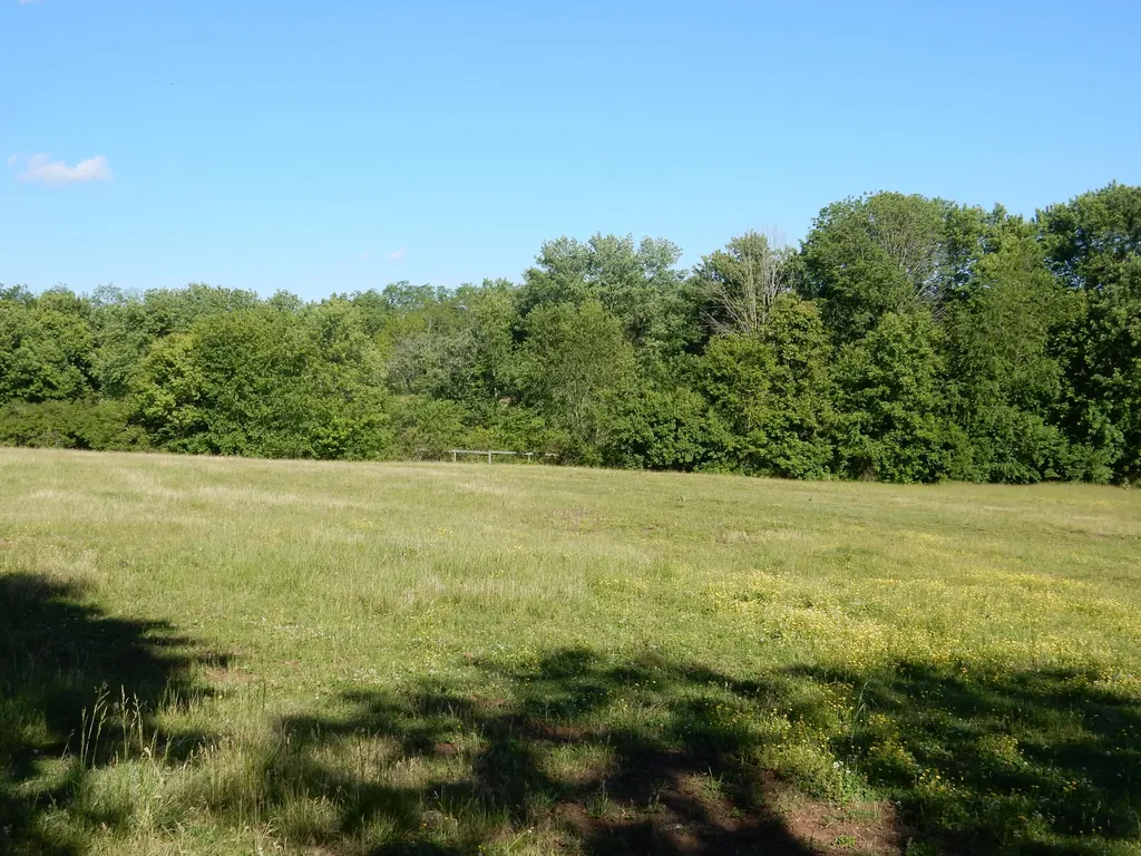 3770 Delaney Ferry Road Versailles KY 40383