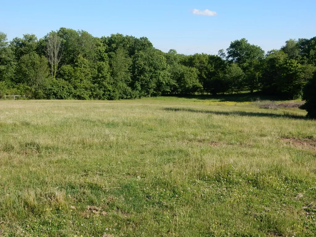 3770 Delaney Ferry Road Versailles KY 40383