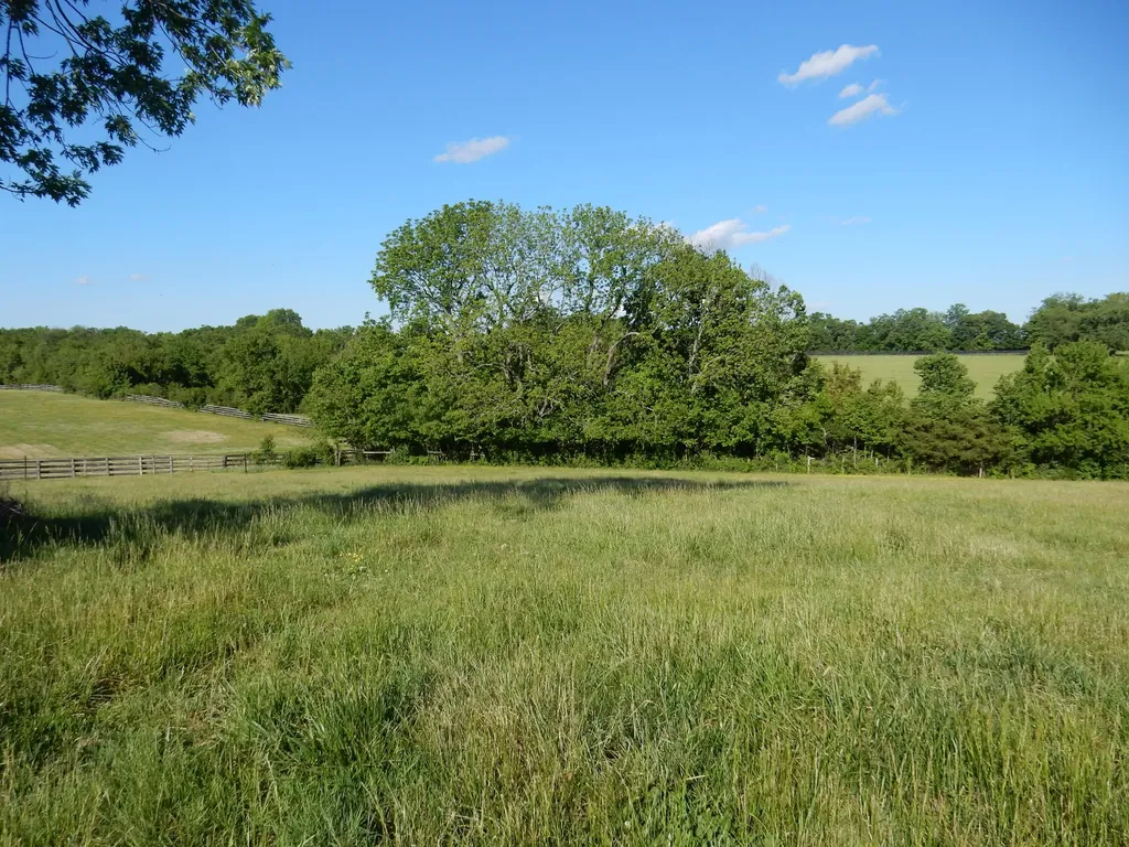 3770 Delaney Ferry Road Versailles KY 40383