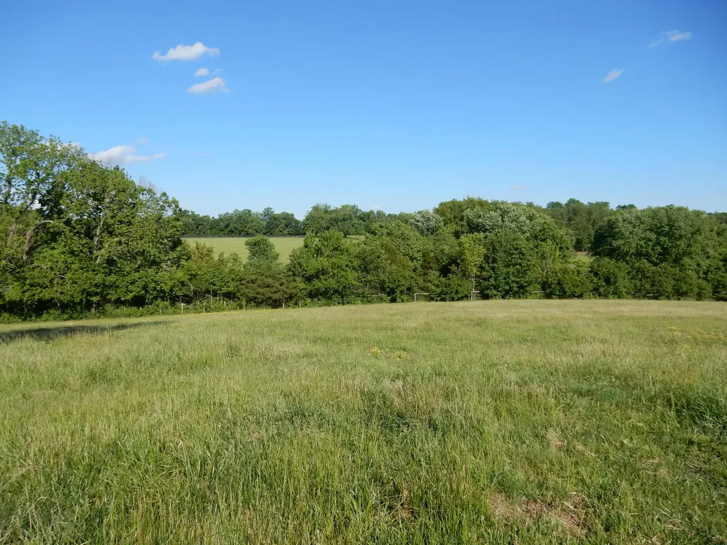 3770 Delaney Ferry Road Versailles KY 40383