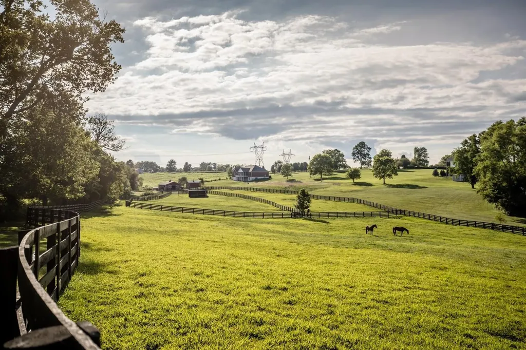696 Pea Ridge Road Stamping Ground KY 40379